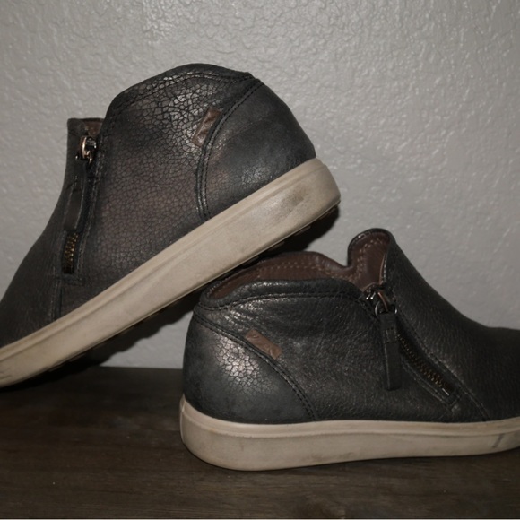 Ecco - Picture 2 of 5